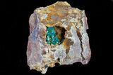Azurite and Fibrous Malachite Crystals on Matrix - Morocco #74692-2